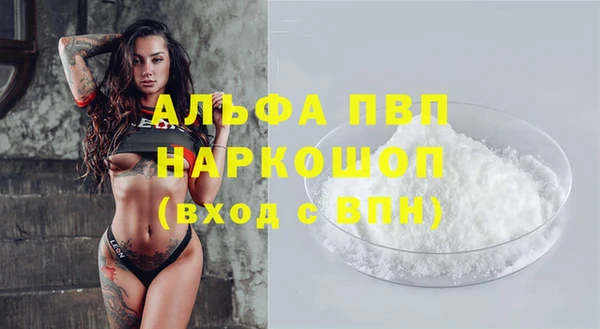 эйфоретик Новозыбков