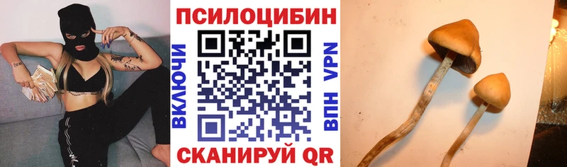 Псилоцибиновые грибы GOLDEN TEACHER  купить   Покровск 